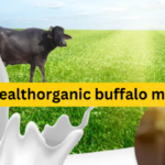 a cow standing in a fieldwellhealthorganic buffalo milk tag