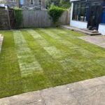 Professional Lawn Laying Services in Edinburgh