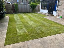 Professional Lawn Laying Services in Edinburgh