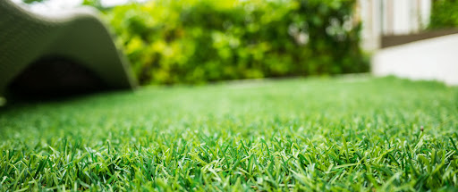 Complete Guide to Lawn Laying Services and Turf in Edinburgh